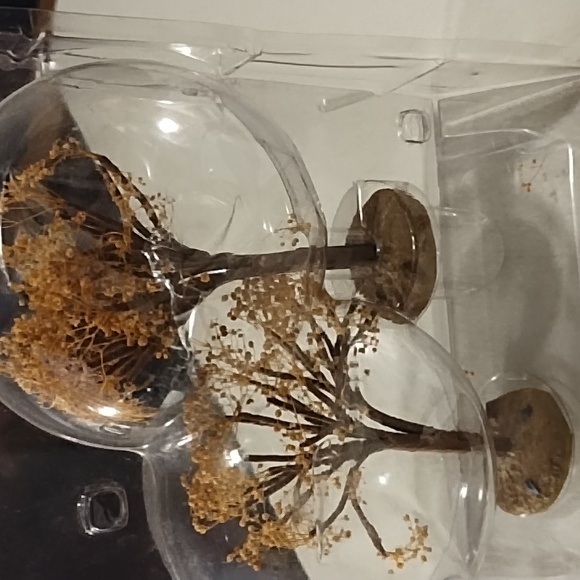 Autumn village trees - Picture 5 of 10